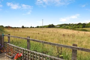 Photo 15- click for photo gallery